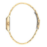 ساعت زنانه دنیل کلین مدل DANIEL KLEIN DK.1.13766-3