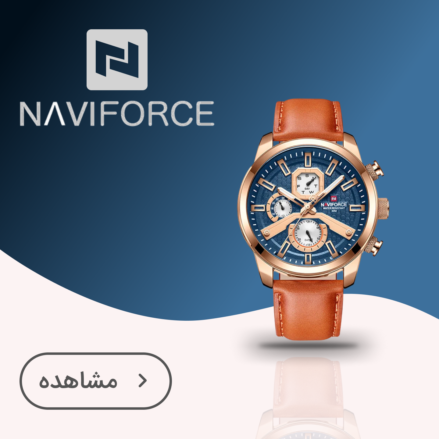 نیوی فورس (NAVIFORCE)