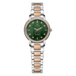 ساعت زنانه واتسون مدل WATSON W1257L.344