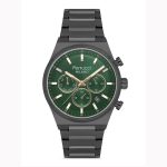 ساعت مردانه فروچی مدل FERRUCCI FCF 03652M.04